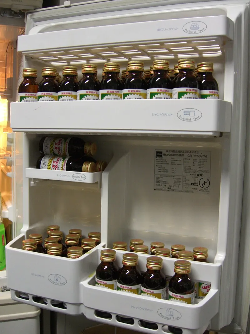 The Fridge Memorial: A Tribute to Every Leftover You Swore You'd Eat and Then Quietly Buried